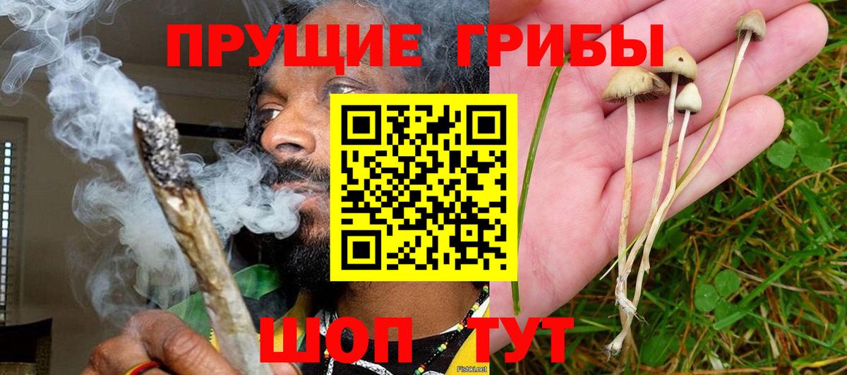Галлюциногенные грибы мухоморы Магадан