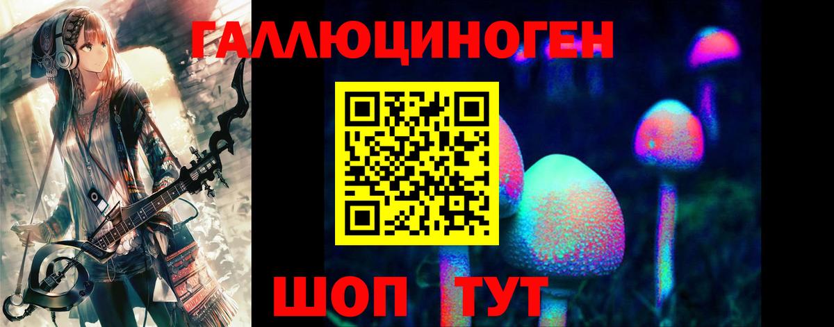 Псилоцибиновые грибы Psilocybe  Вход с VPN  где можно купить наркотик  Магадан 